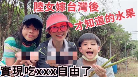 台灣媳婦 lily 老公